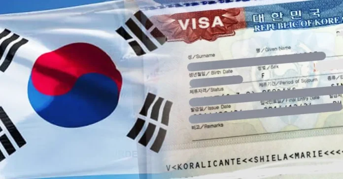 South Korea K-STAR Visa for STEM Talent: How Researchers and Graduates Get Permanent Residency.